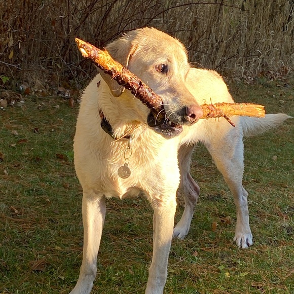 Live Show Listing 🫶🏼🫶🏼 - Picture 7 of 8